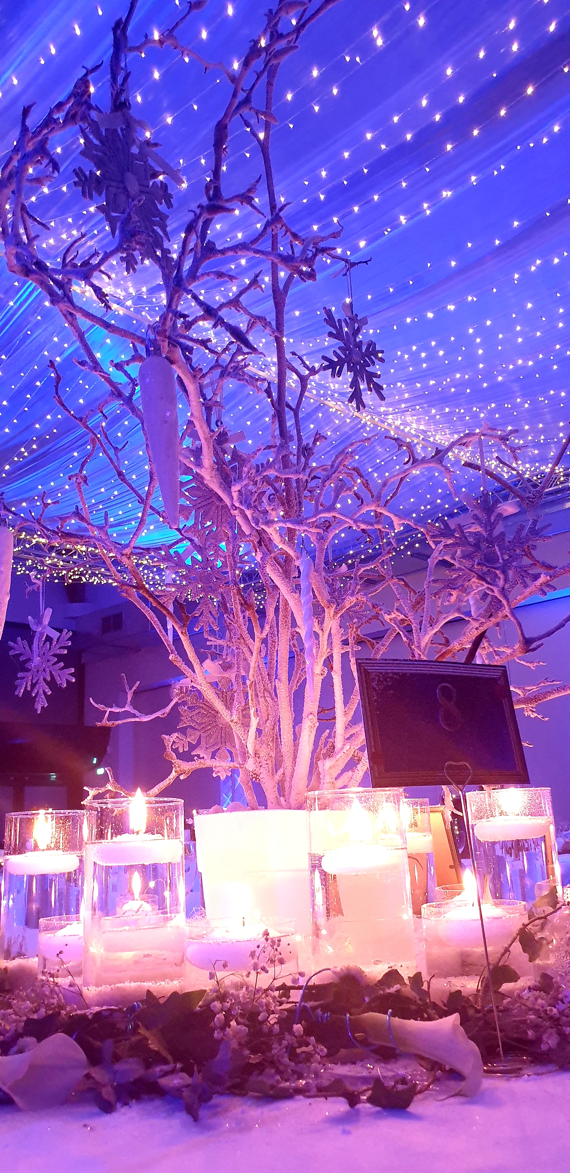 Ciel etoile reine des neiges
