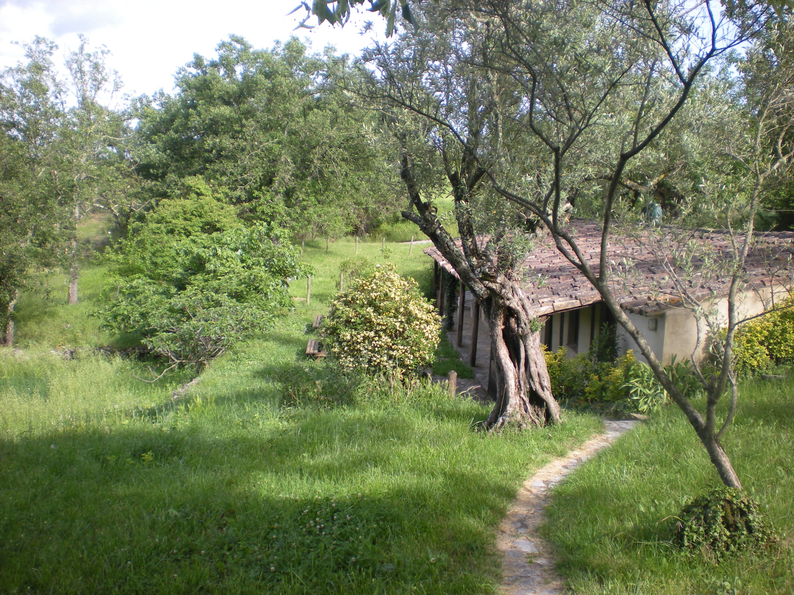 Dscn2005