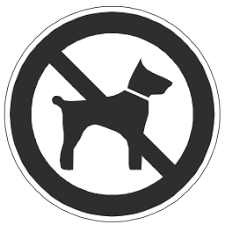 Chien2