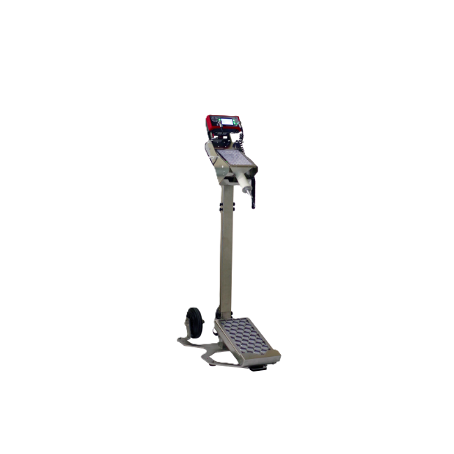 AVIOR 2H/2F-S