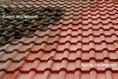Demoussage traitement toiture