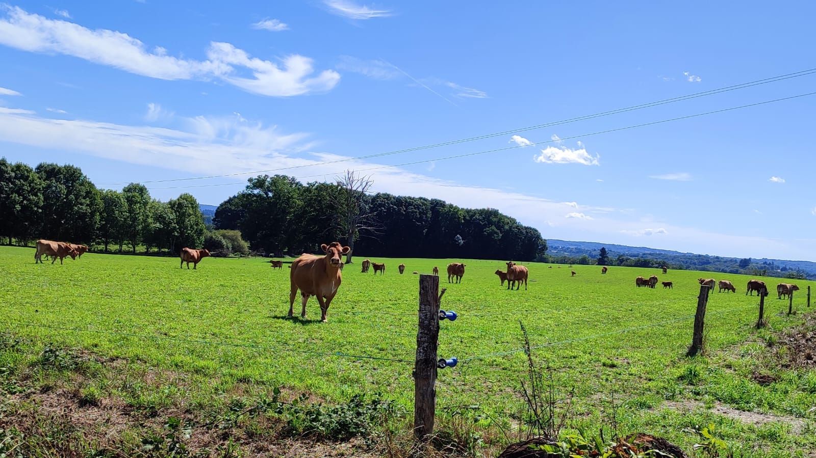 Img 20250908 wa0021
