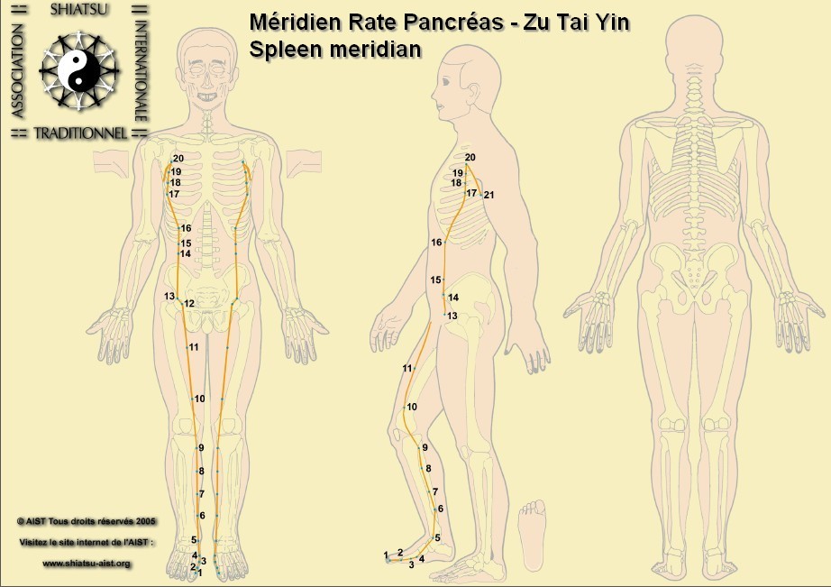 4 rate spleen