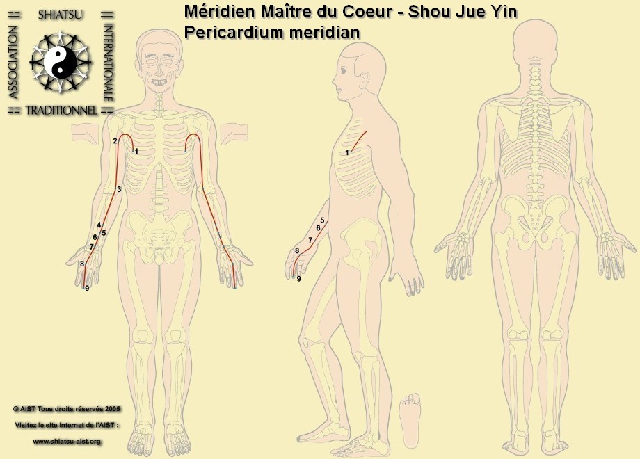9 maitre coeur pericardium