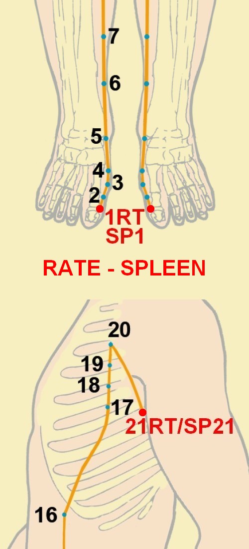 04 rate spleen 1 21
