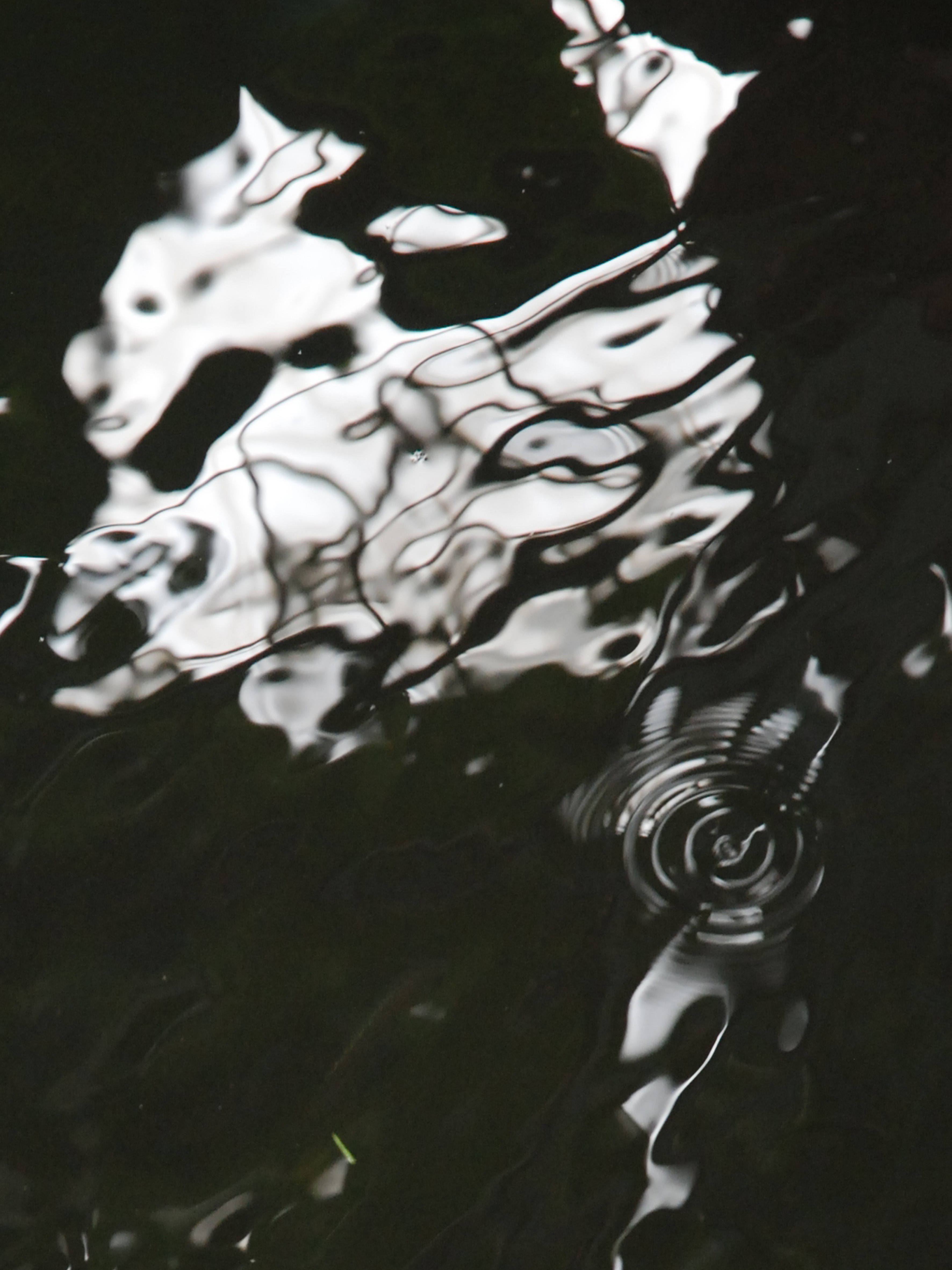 Reflet graf 3