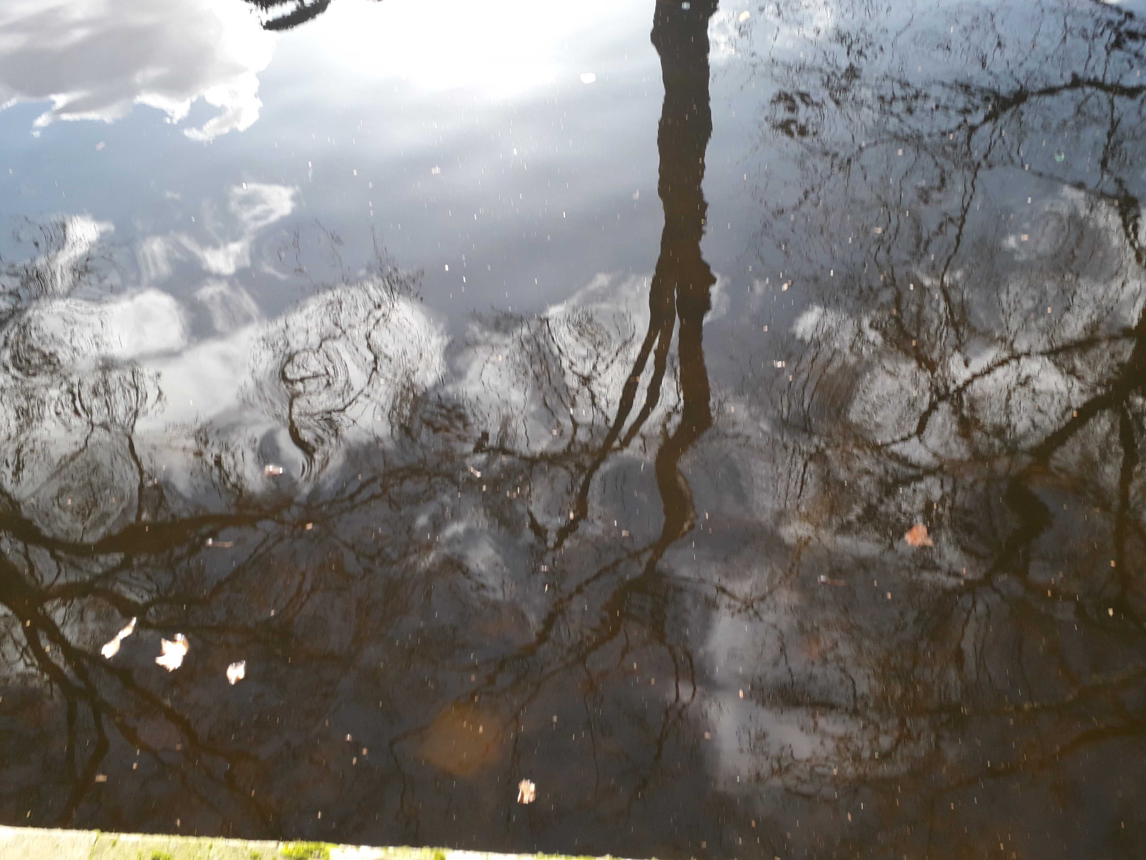 Reflet-bleu-a3