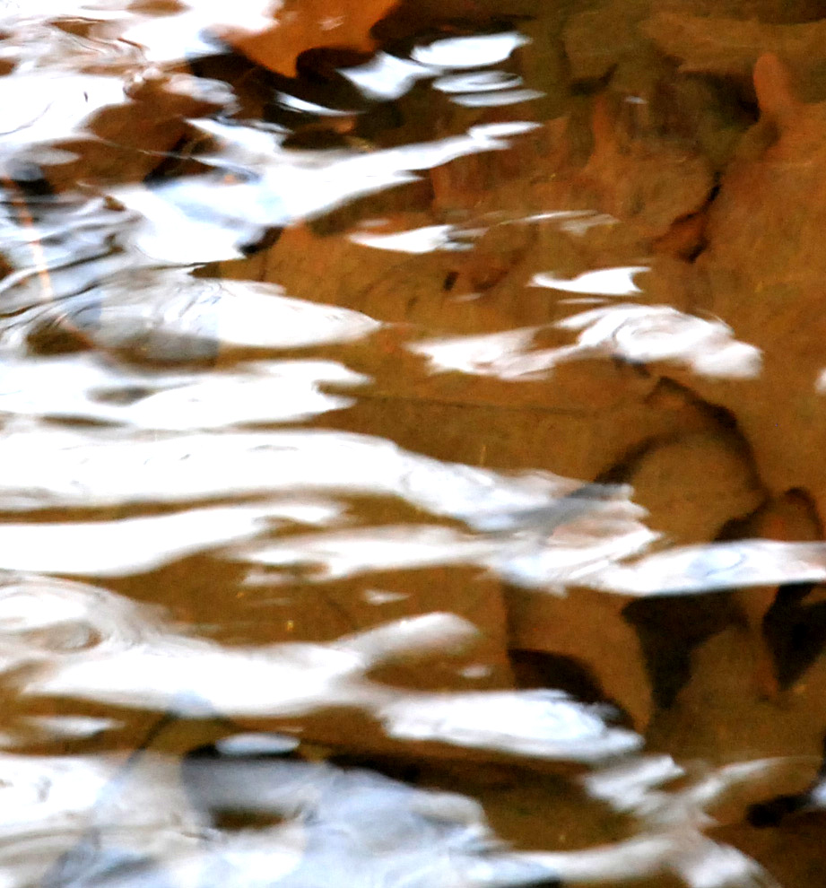 Dsc 0134-contraste