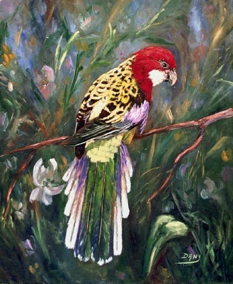 PERROQUET