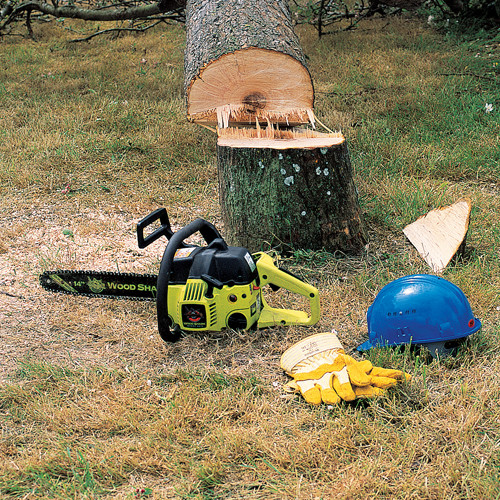 abattre un arbre