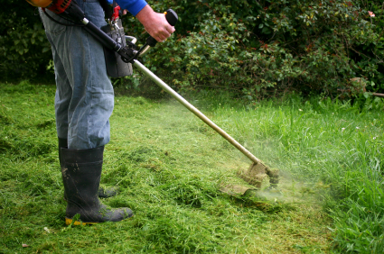 Débrousailler un terrain