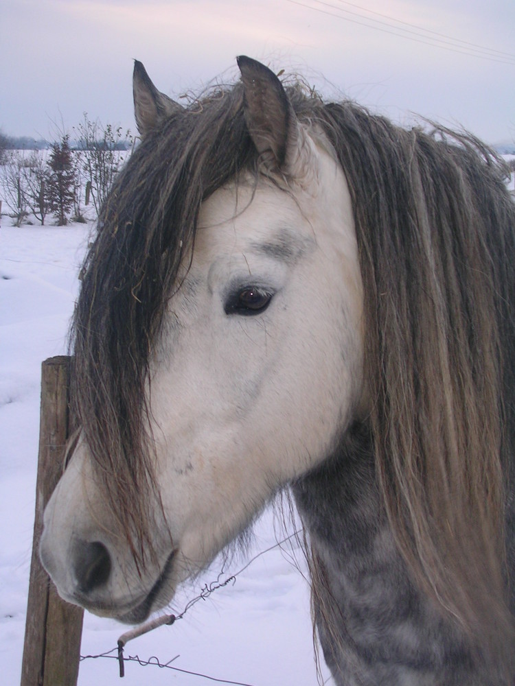 Dscn3510