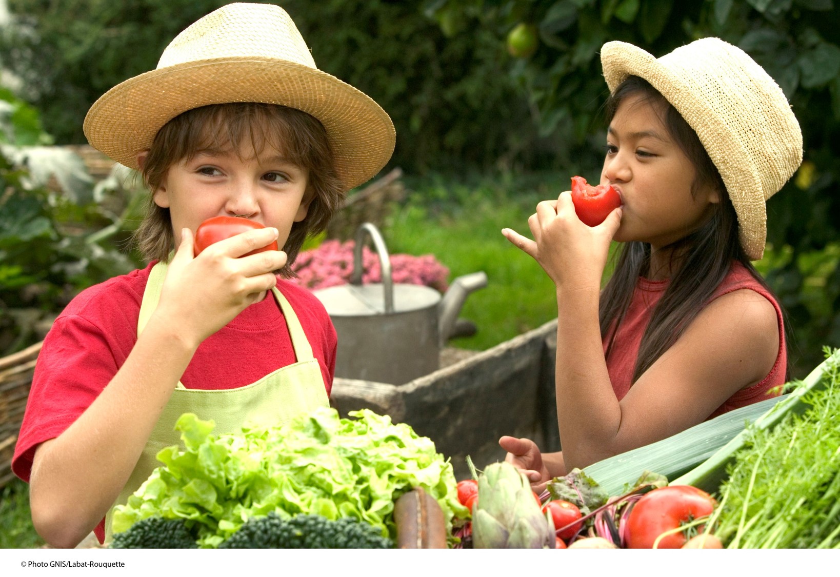 Enfant-mangent-au-potager