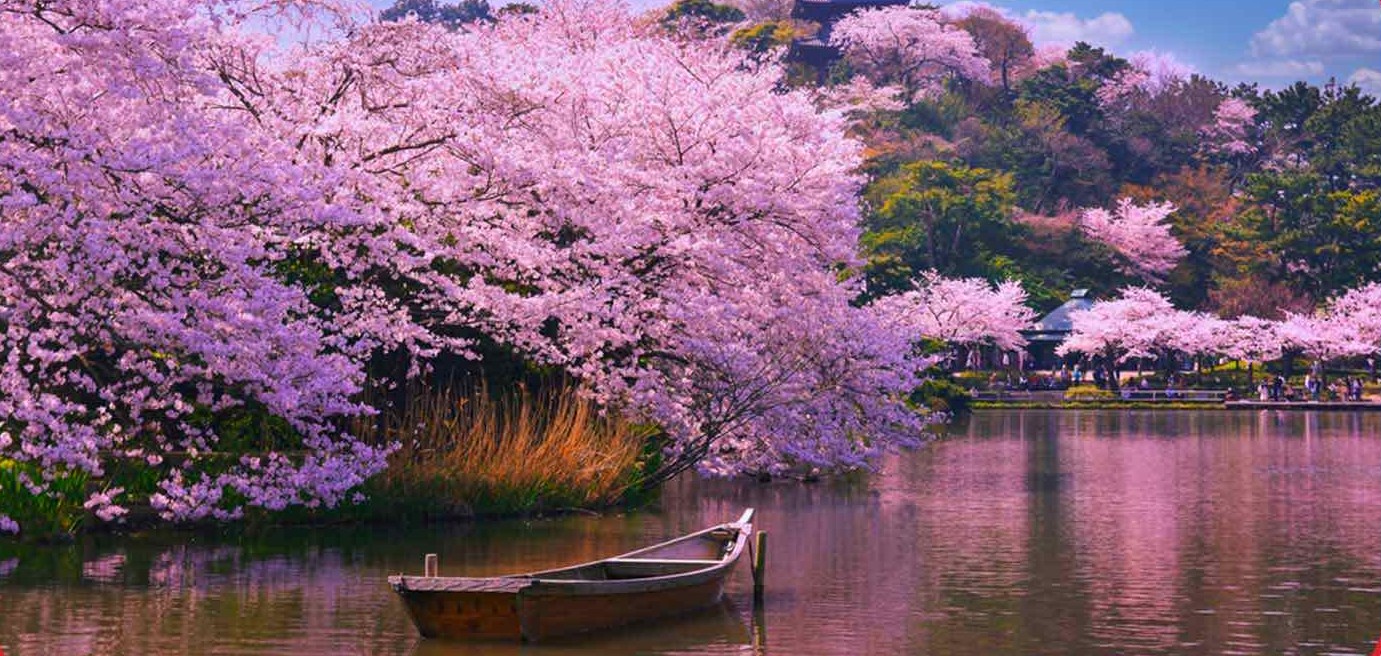 Bulletin Printemps - Été