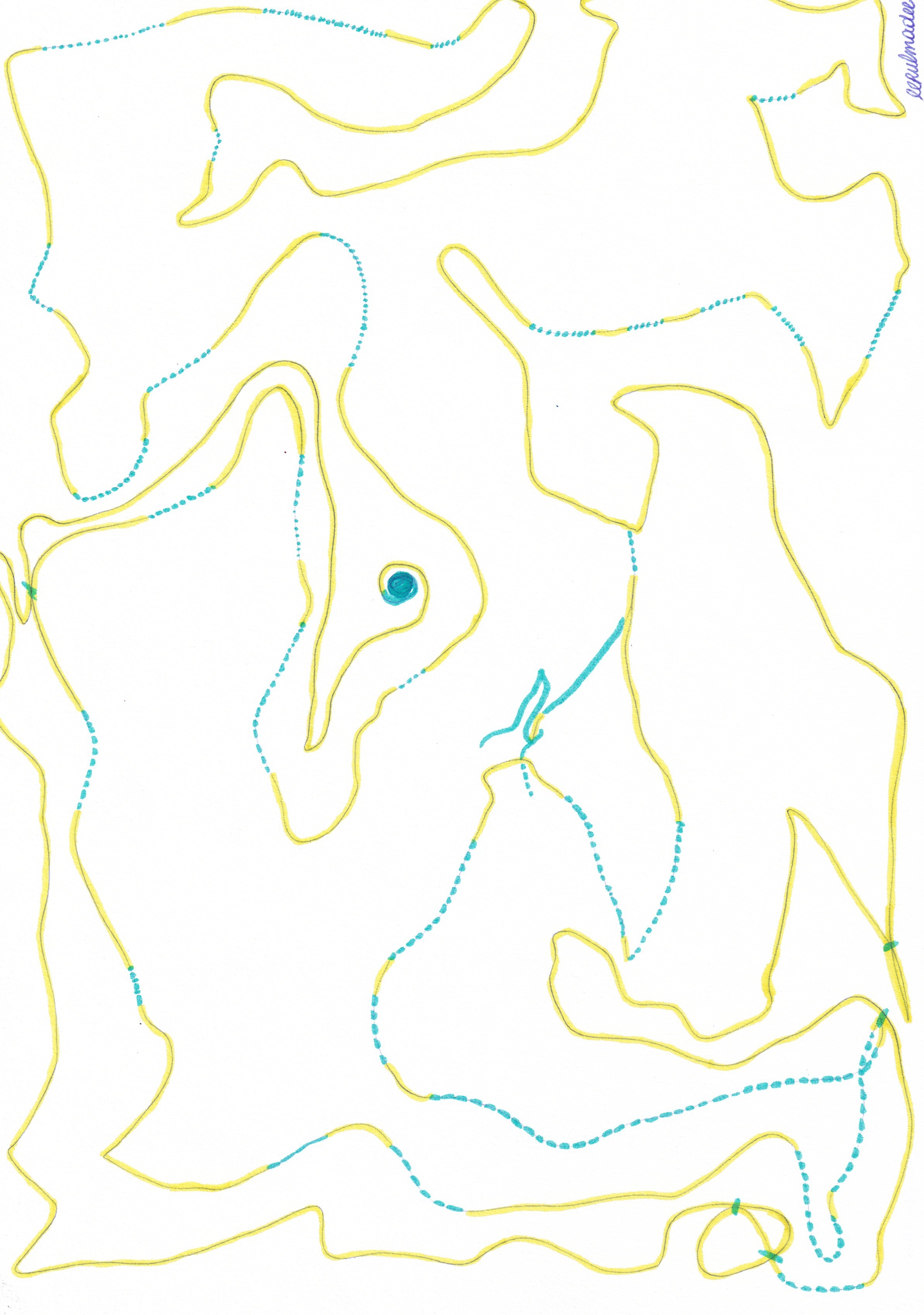  37