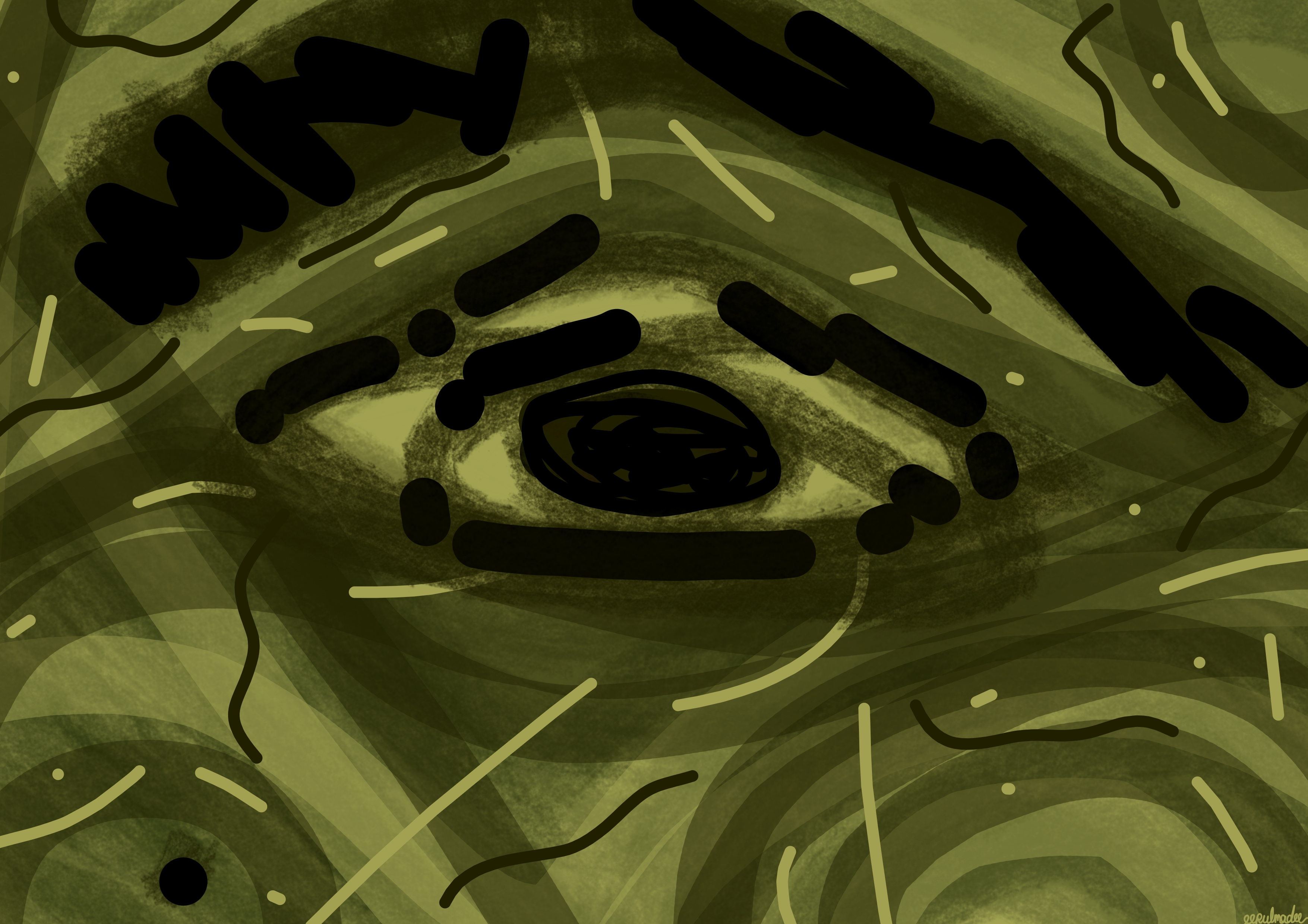  61