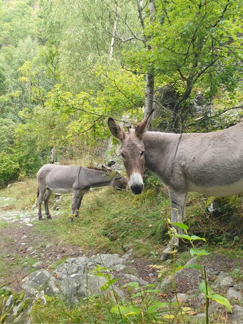 Photo 2025 09 26 19 47 52