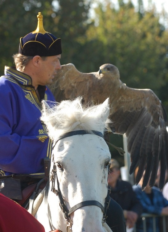 Laurent steppe cheval