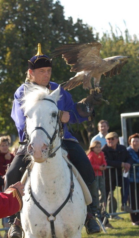 Laurent steppe cheval 2