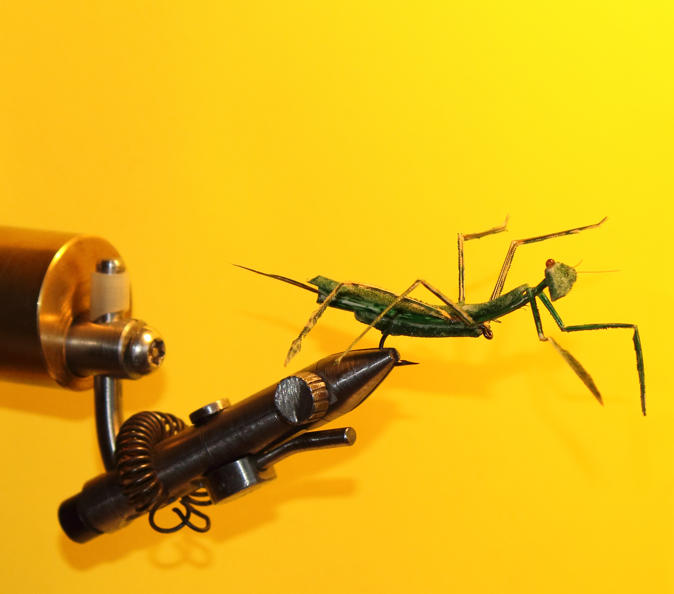119A6811 JPG Modifie