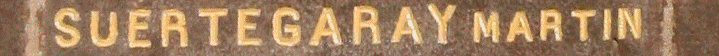 Suertegaray