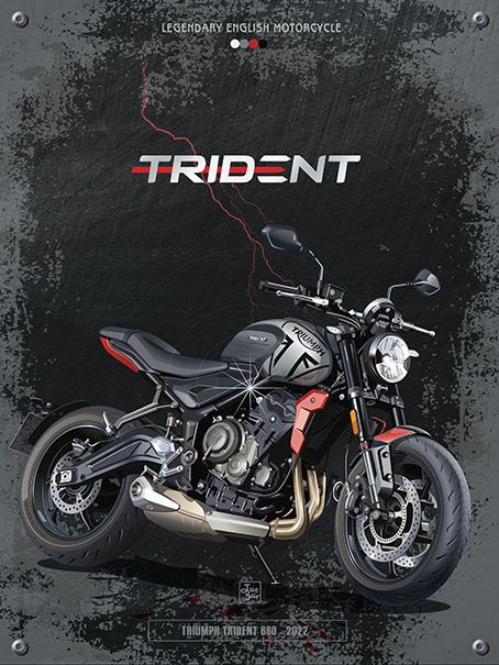 Trident-660-30x40-w