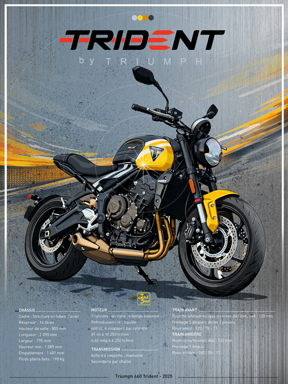 Triumph-trident-660-30x40-w
