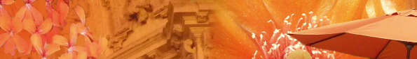 Bande orange