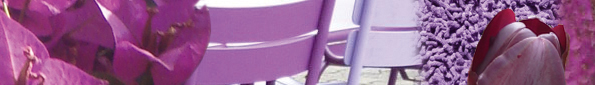 Bande violet