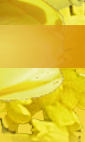 B hor jaune 