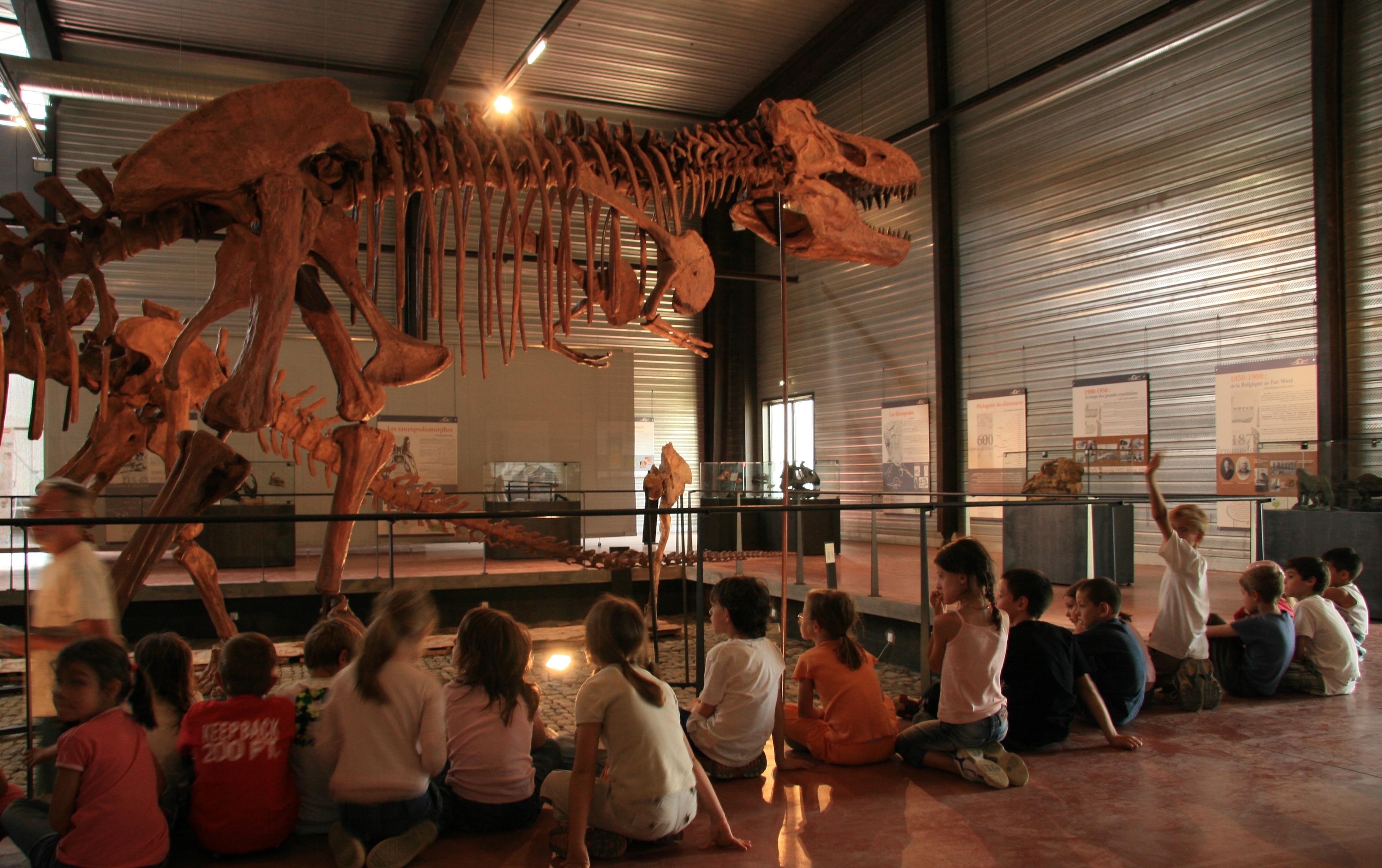 Esperaza haute vallee de l aude dinosaures credit cci carcassonne