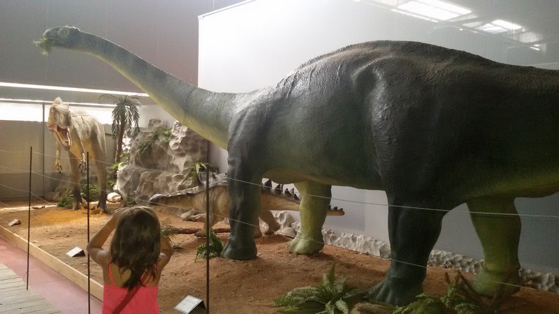 Musee dino