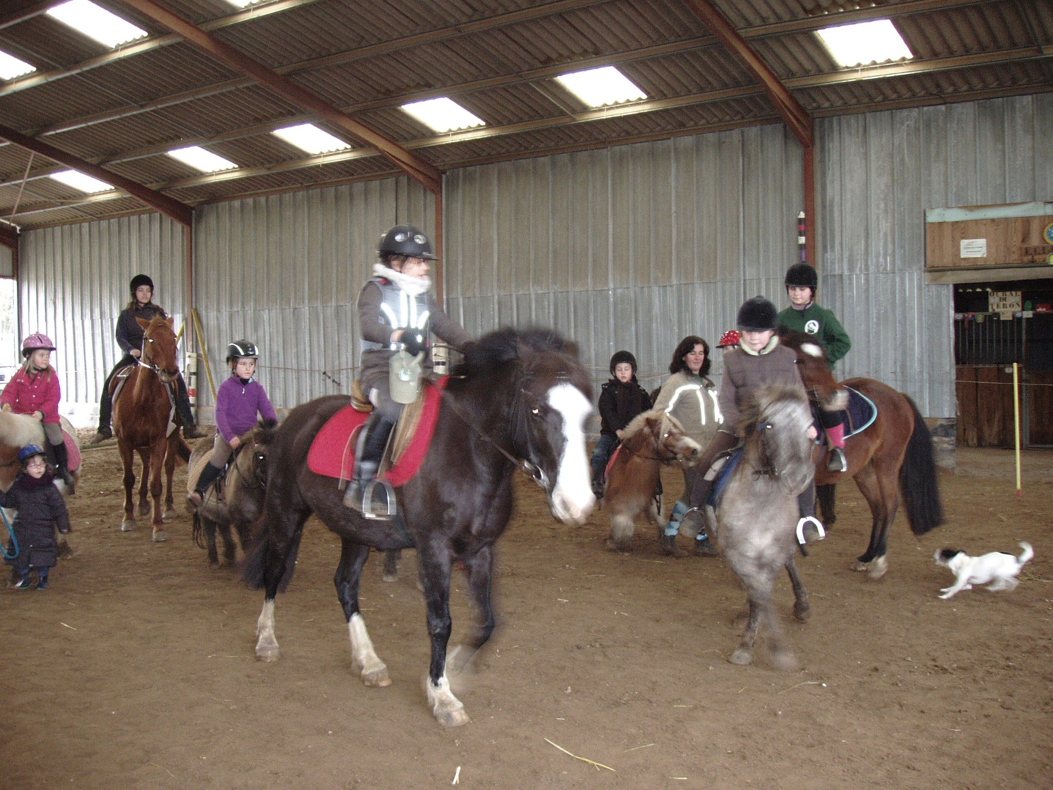 Janvier2013 090