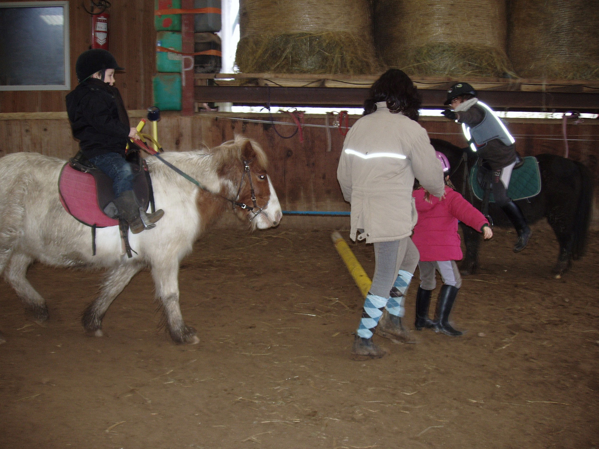 Janvier2013 096