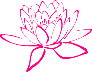 Lotus-picto