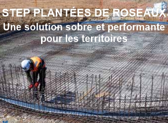 Une expertise pointue 