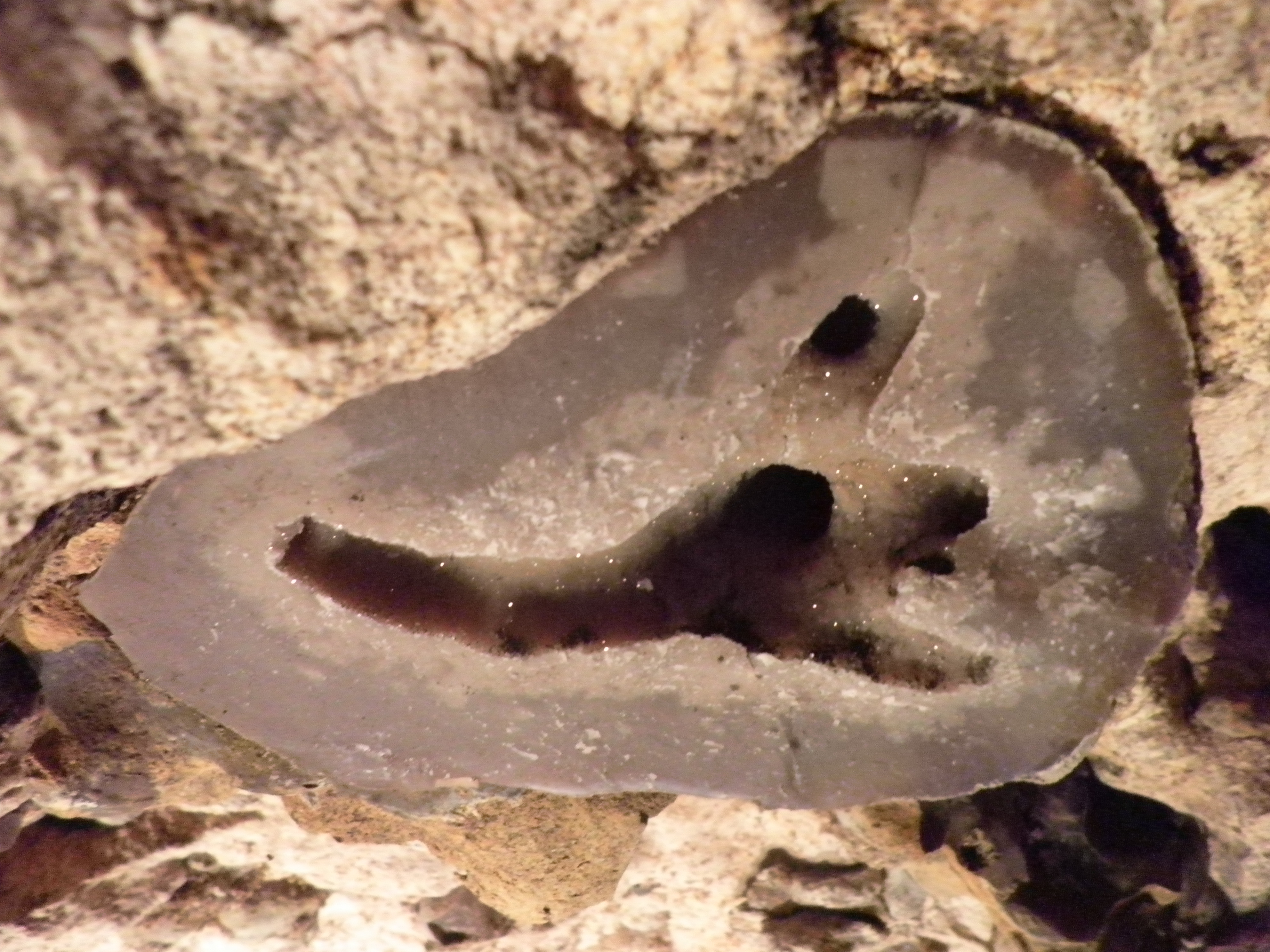 P8290706
