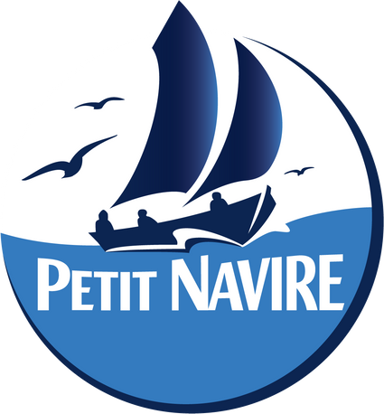 Logo Petit Navire 2017