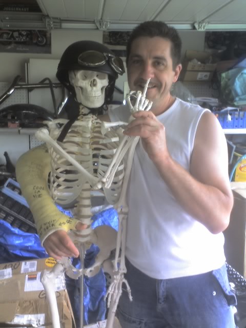 Dom e squelett