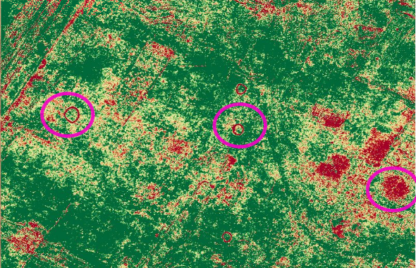 filtre RGB d un terrain pour mise en valeur des zones archéologiques à étudier