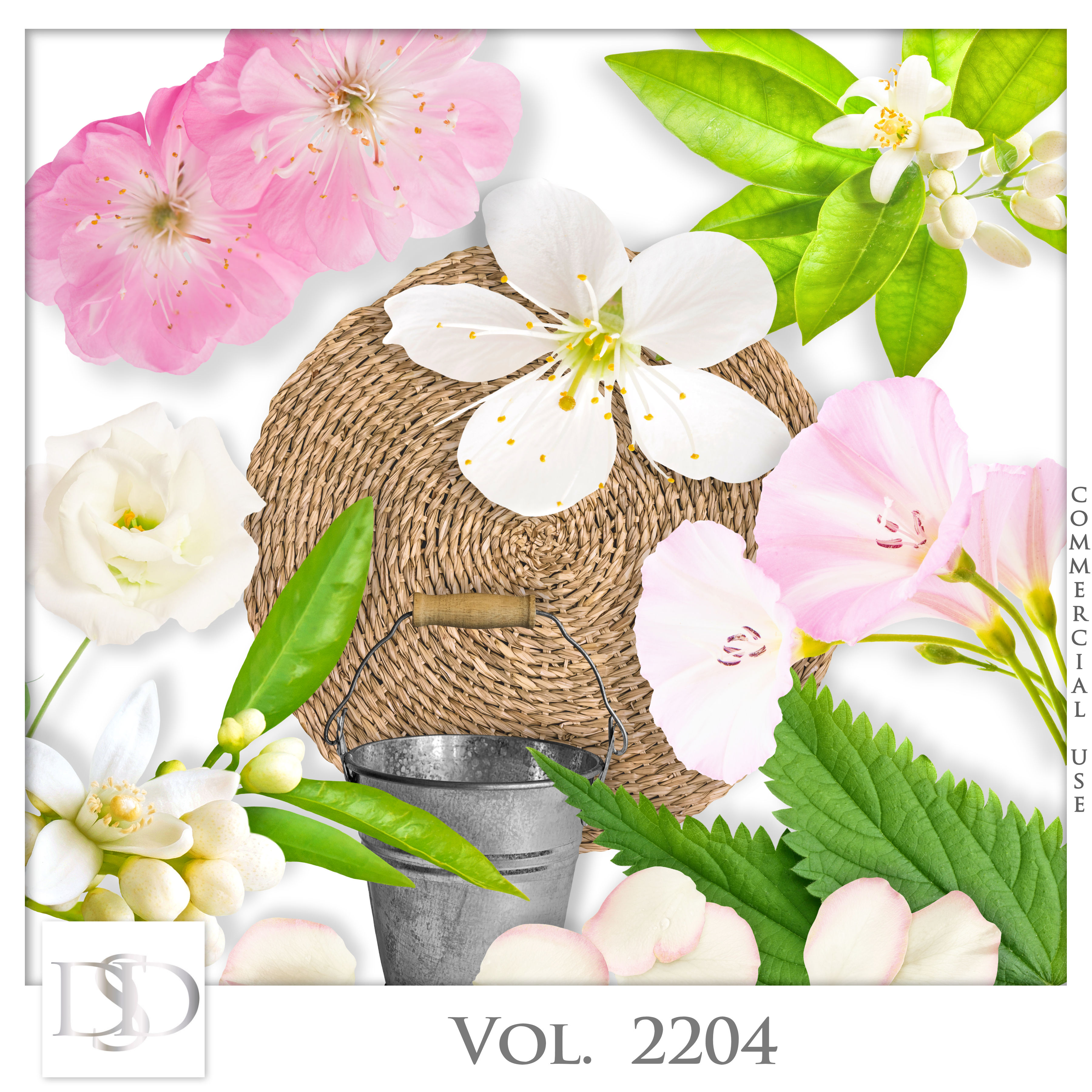 Dsd cuvol2204