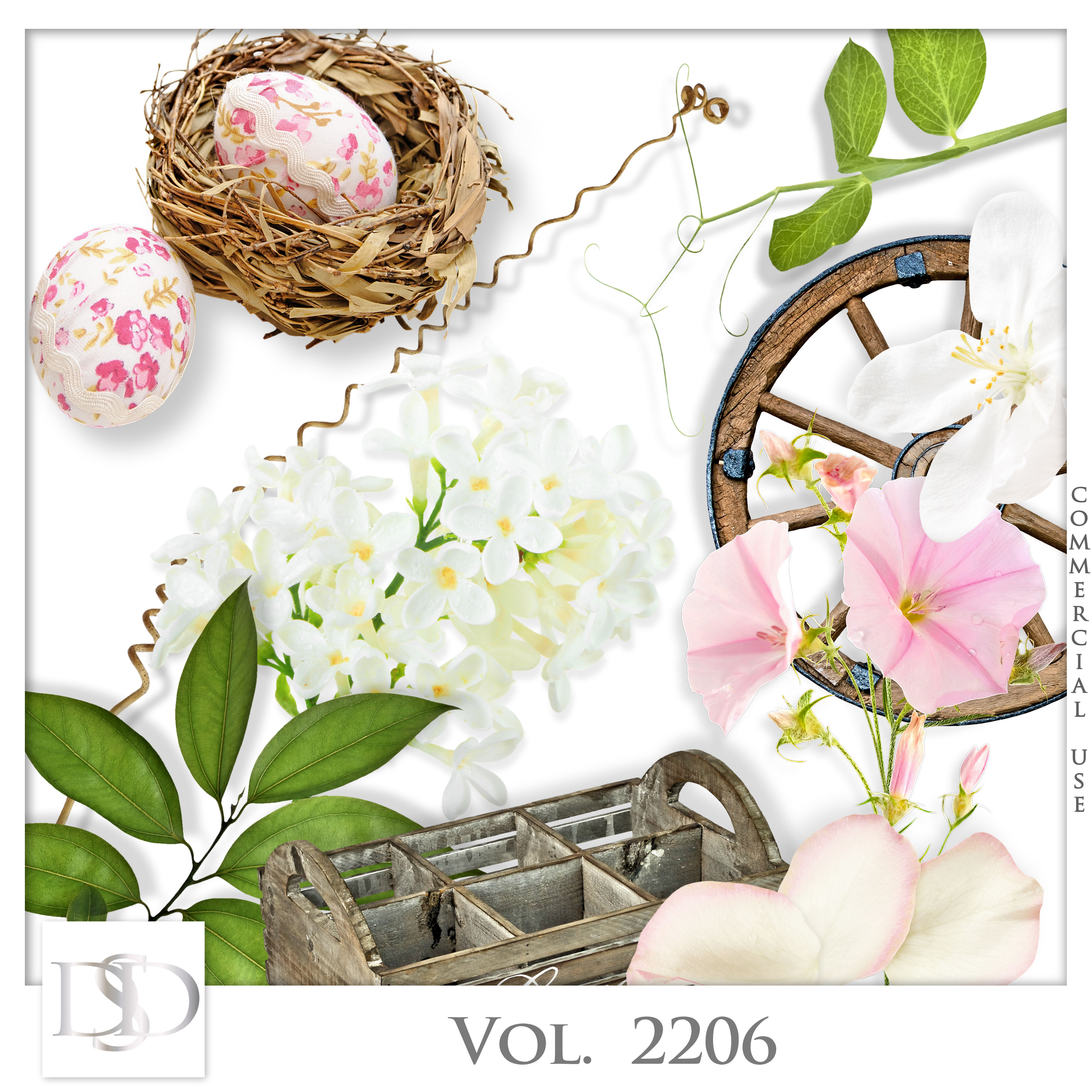 Dsd cuvol2206