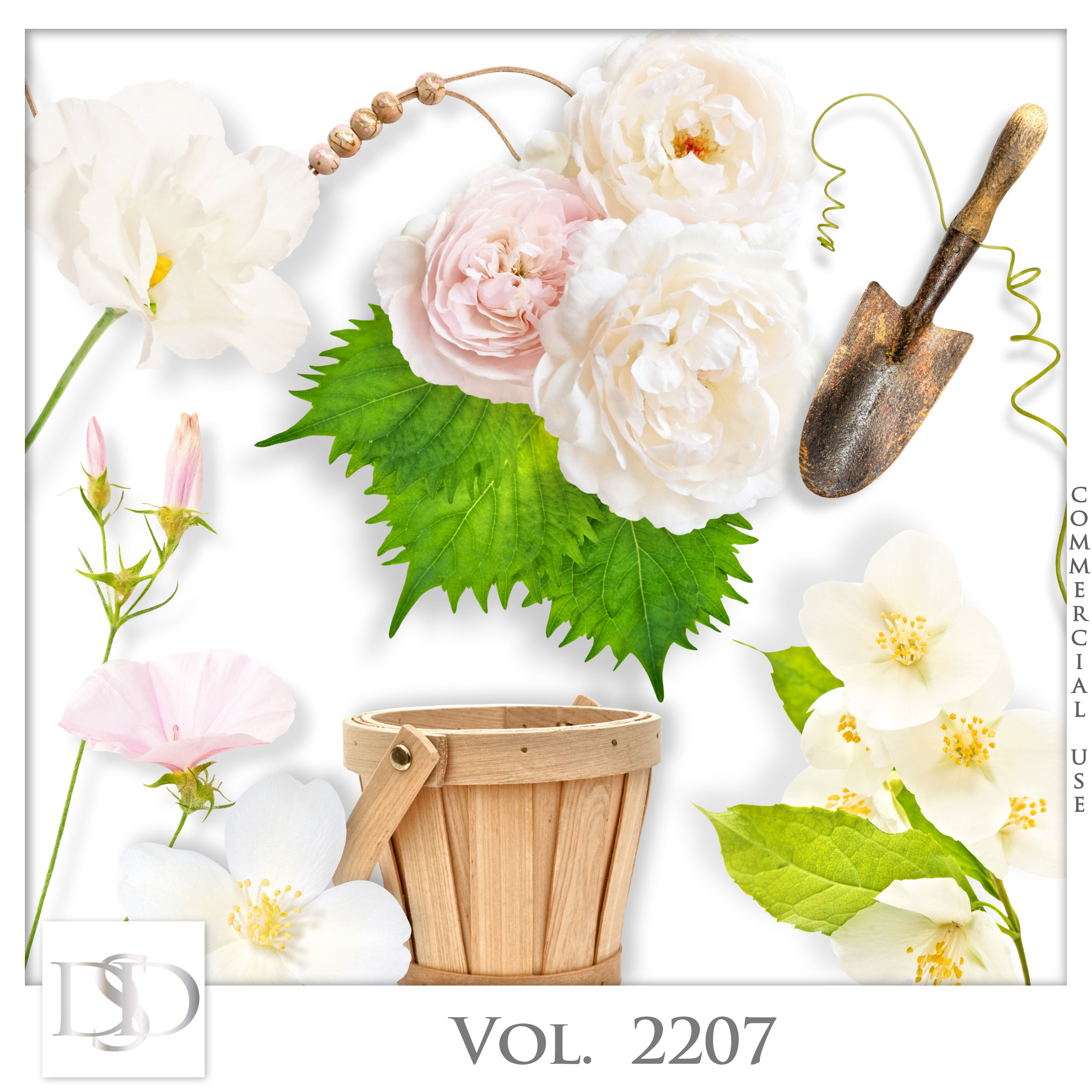 Dsd cuvol2207