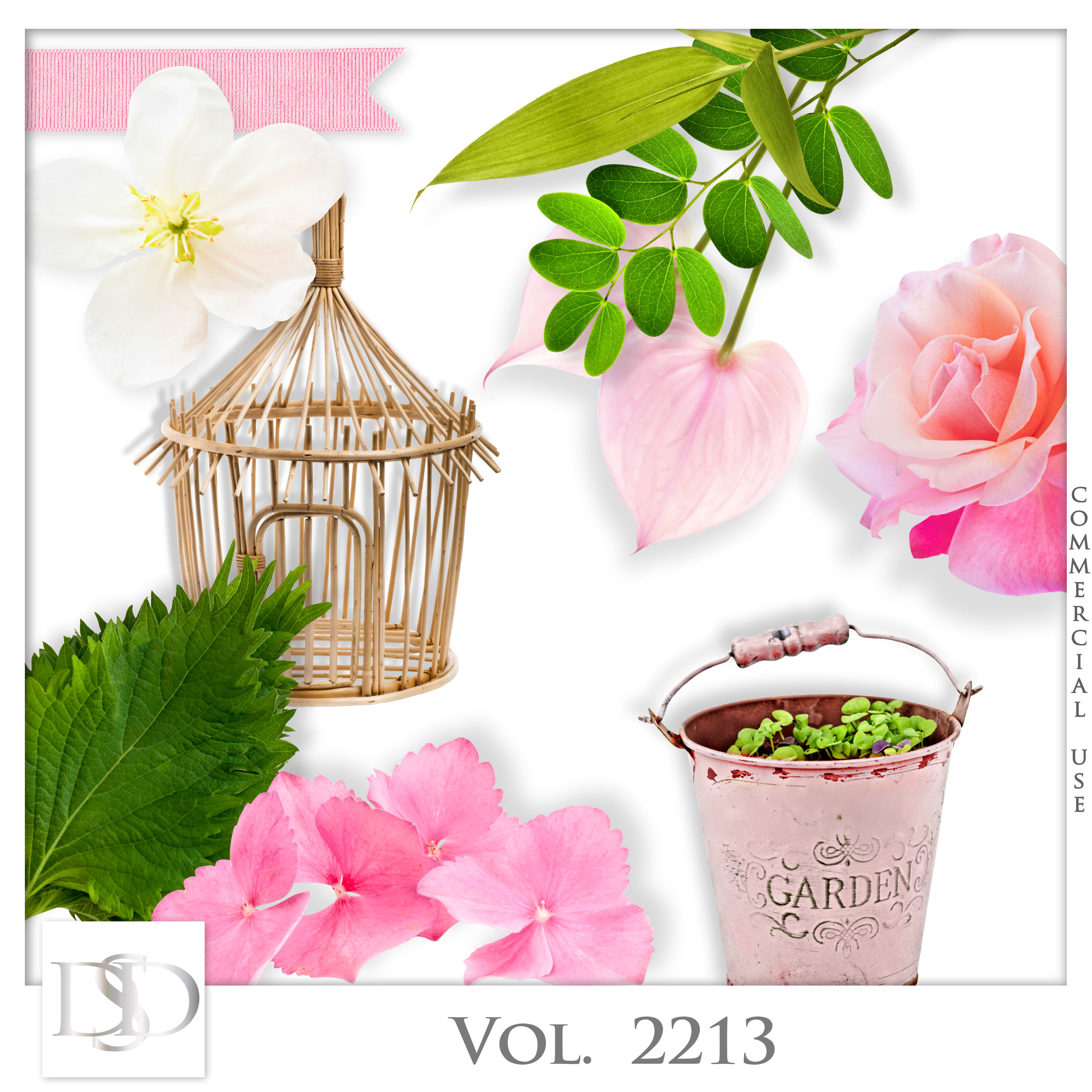 Dsd cuvol2213
