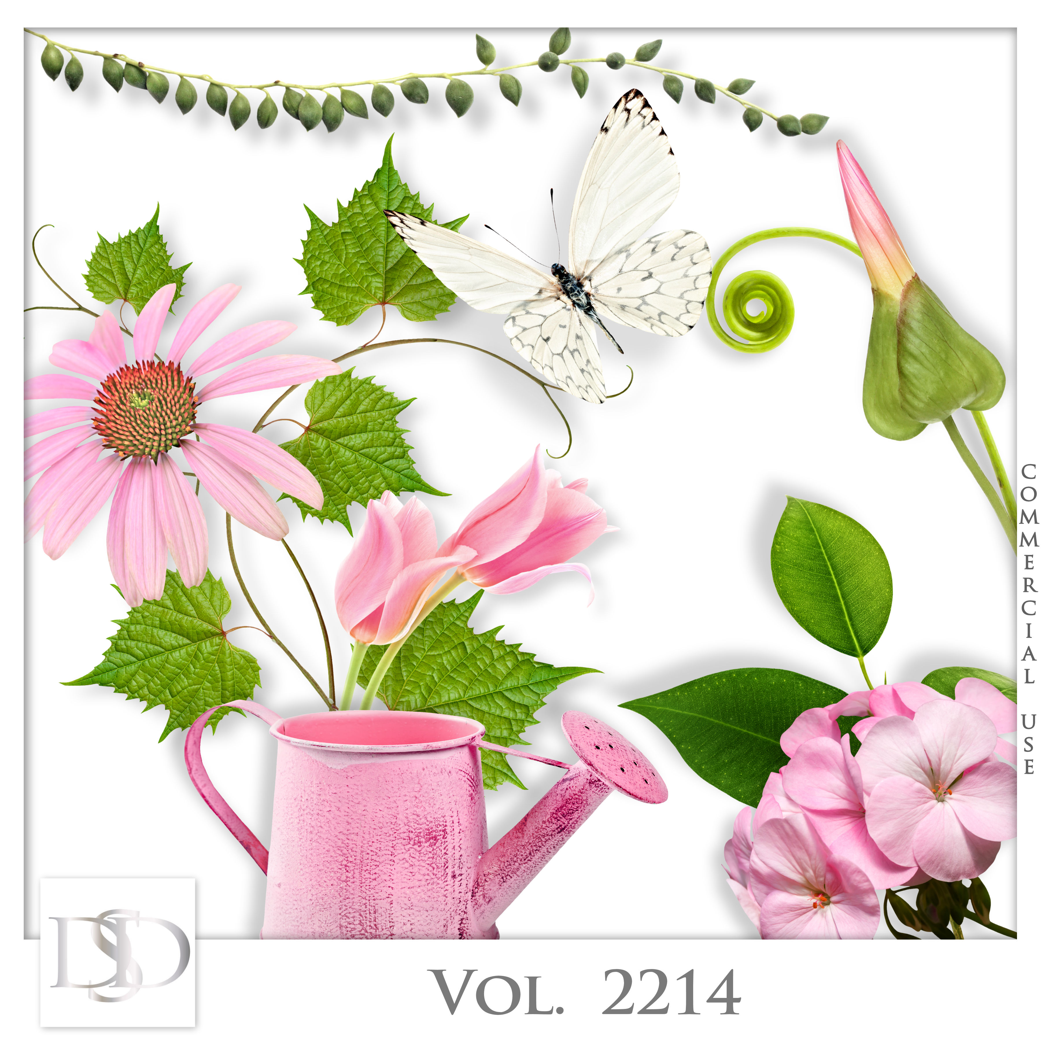Dsd cuvol2214