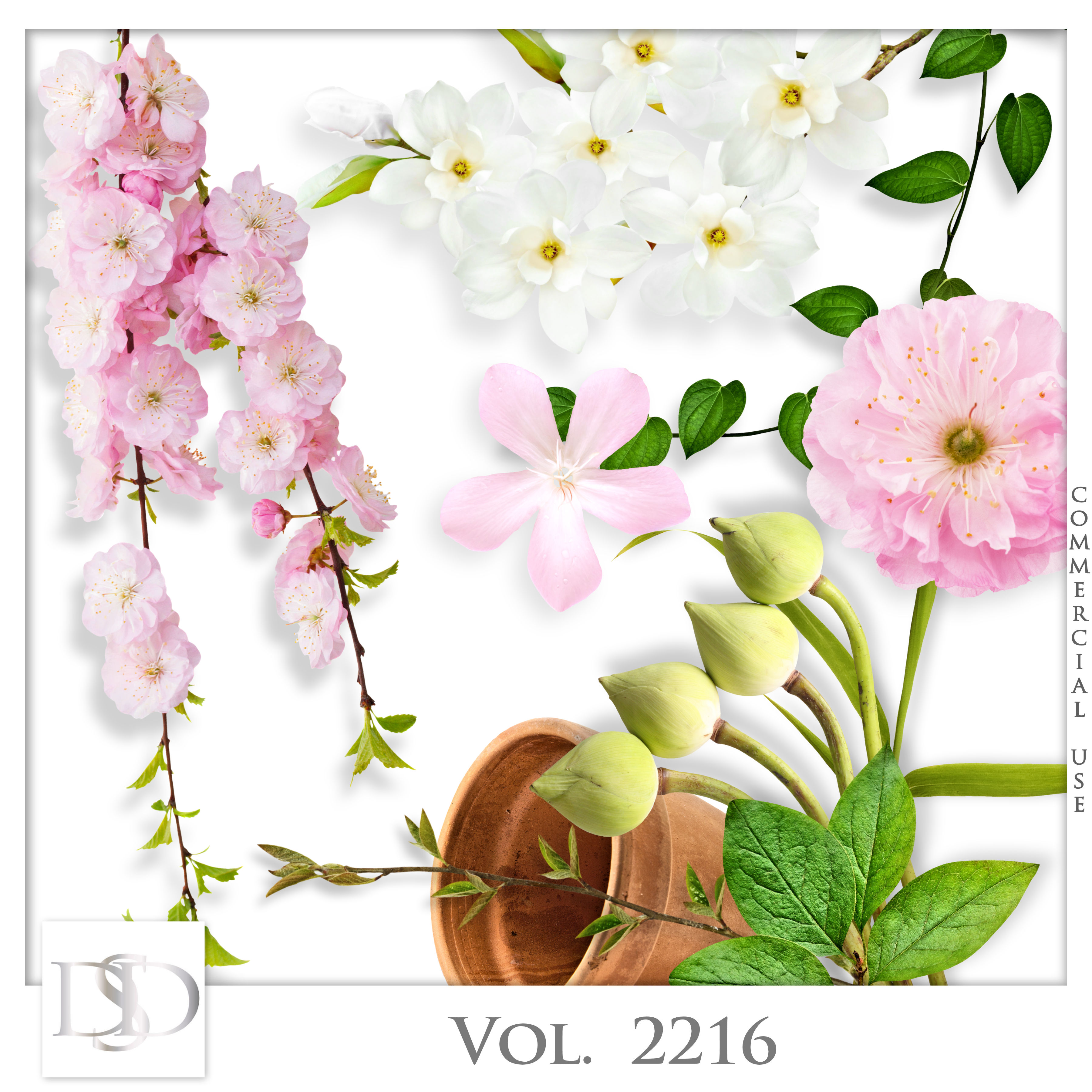 Dsd cuvol2216
