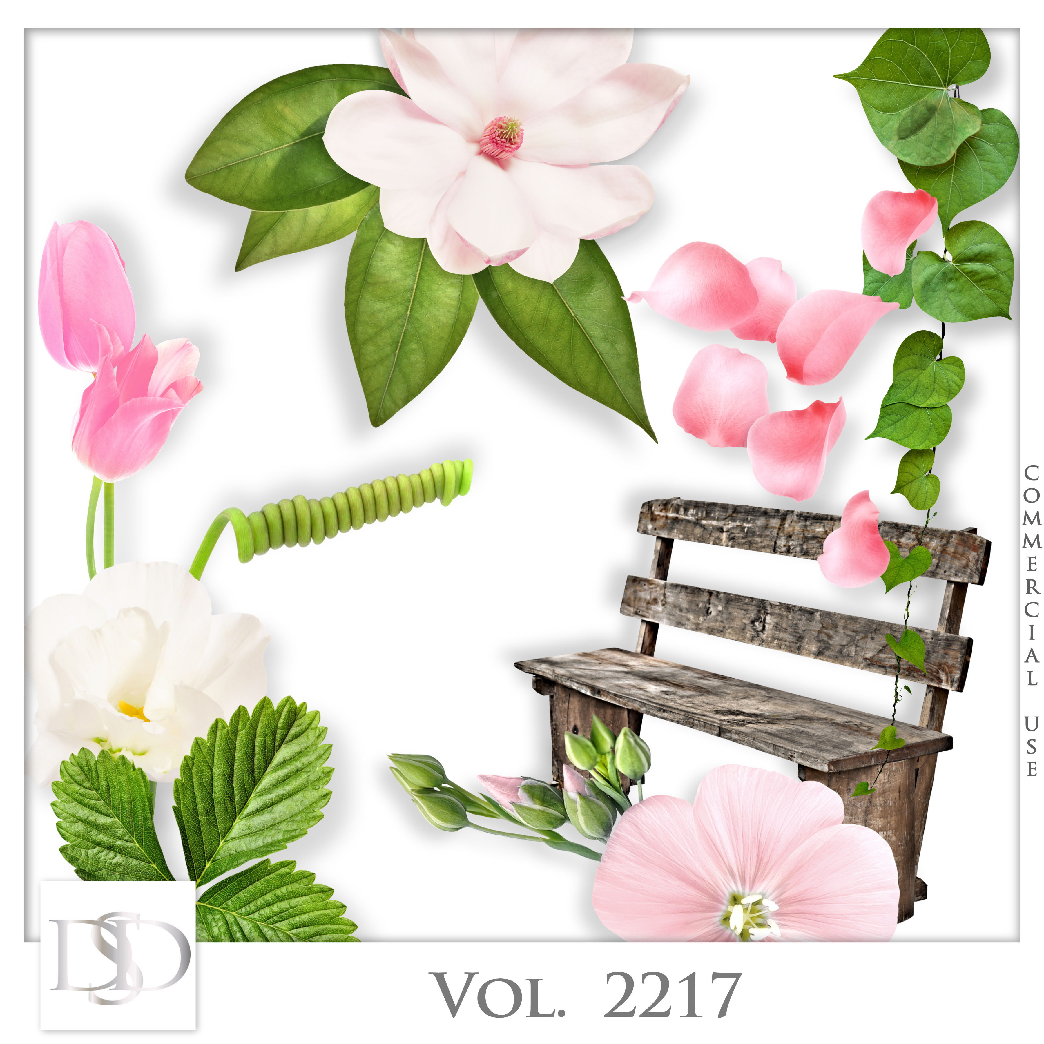 Dsd cuvol2217
