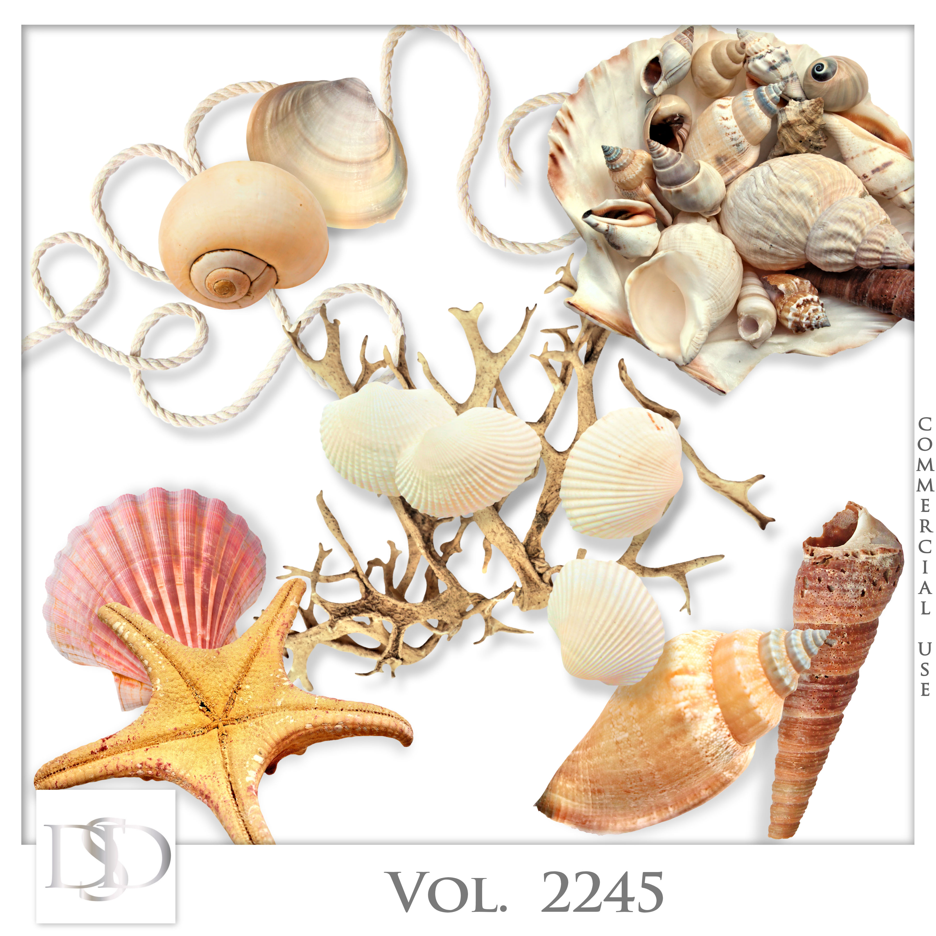 Dsd cuvol2245