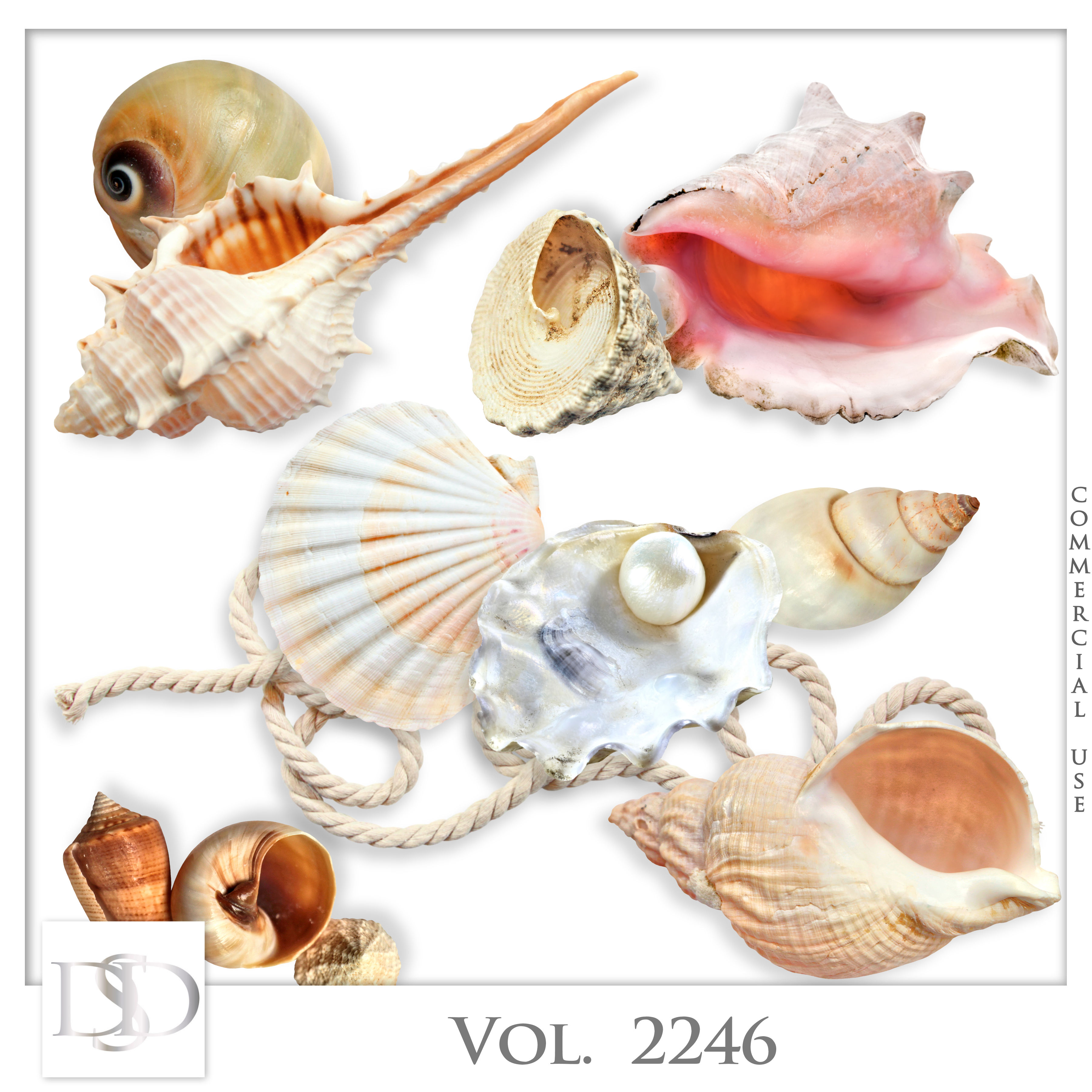 Dsd cuvol2246