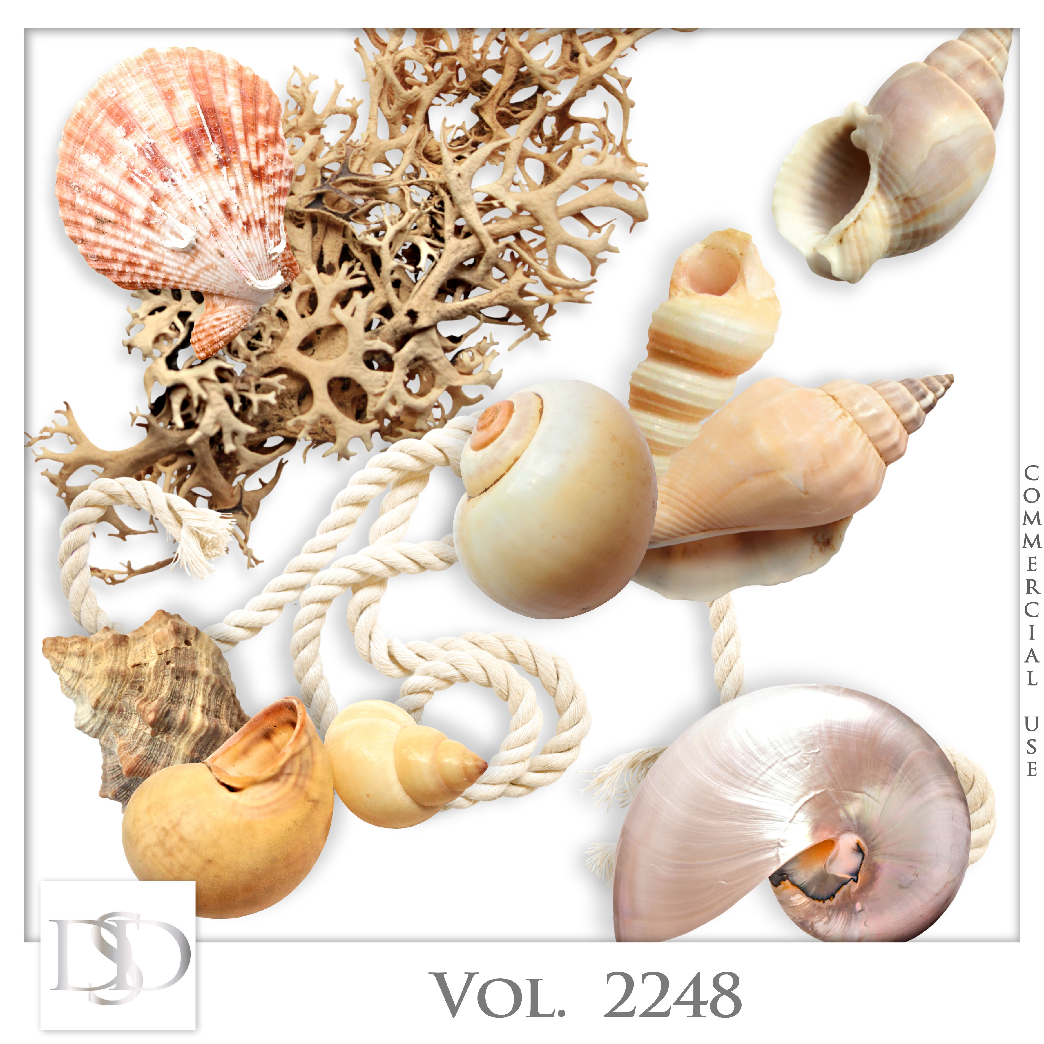 Dsd cuvol2248